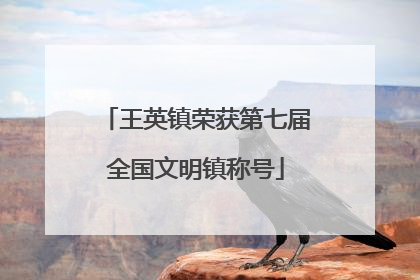 王英镇荣获第七届全国文明镇称号