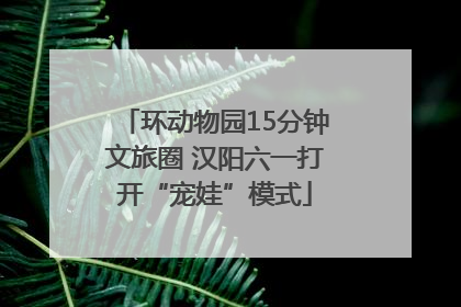 环动物园15分钟文旅圈 汉阳六一打开“宠娃”模式