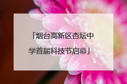 烟台高新区杏坛中学首届科技节启幕