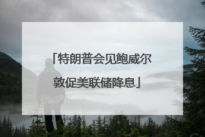 特朗普会见鲍威尔 敦促美联储降息