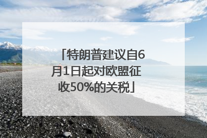 特朗普建议自6月1日起对欧盟征收50%的关税