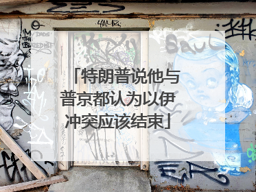 特朗普说他与普京都认为以伊冲突应该结束