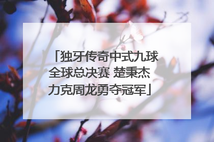 独牙传奇中式九球全球总决赛 楚秉杰力克周龙勇夺冠军