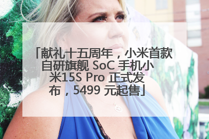 献礼十五周年，小米首款自研旗舰 SoC 手机小米15S Pro 正式发布，5499 元起售