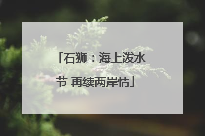 石狮：海上泼水节 再续两岸情