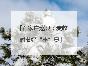 石家庄赵县：麦收时节好“丰”景