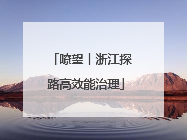 瞭望丨浙江探路高效能治理