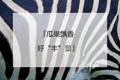 瓜果飘香 好“丰”景