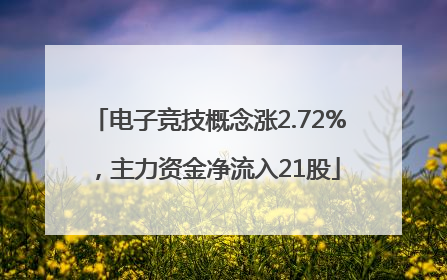 电子竞技概念涨2.72%，主力资金净流入21股