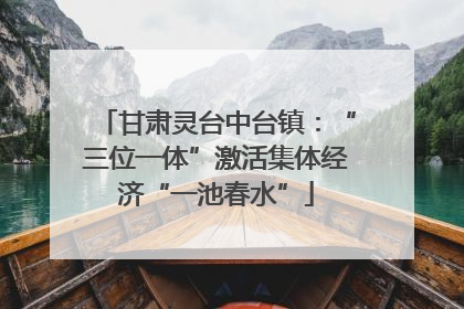 甘肃灵台中台镇：“三位一体”激活集体经济“一池春水”
