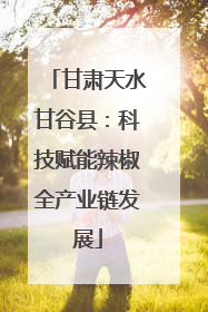 甘肃天水甘谷县：科技赋能辣椒全产业链发展
