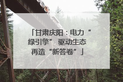 甘肃庆阳：电力“绿引擎” 驱动生态再造“新答卷”