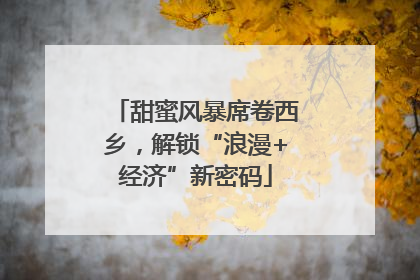 甜蜜风暴席卷西乡，解锁“浪漫+经济”新密码
