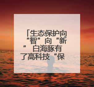 生态保护向“智”向“新” 白海豚有了高科技“保镖”