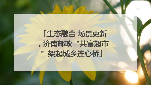 生态融合 场景更新，济南邮政“共富超市”架起城乡连心桥