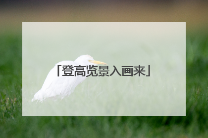 登高览景入画来