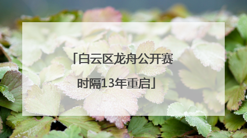 白云区龙舟公开赛时隔13年重启