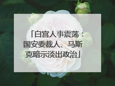 白宫人事震荡：国安委裁人、马斯克暗示淡出政治