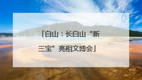 白山：长白山“新三宝”亮相文博会