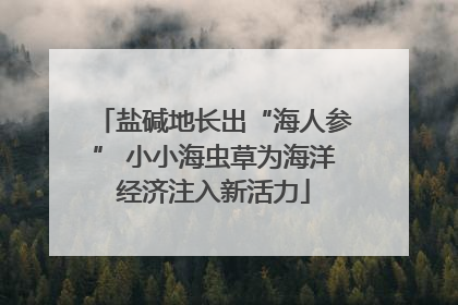 盐碱地长出“海人参” 小小海虫草为海洋经济注入新活力