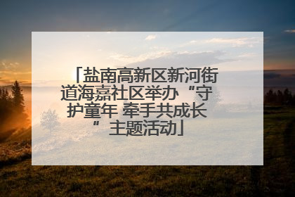 盐南高新区新河街道海嘉社区举办“守护童年 牵手共成长”主题活动