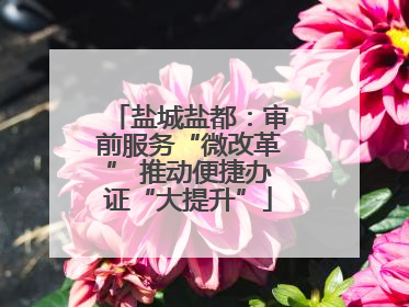 盐城盐都：审前服务“微改革” 推动便捷办证“大提升”