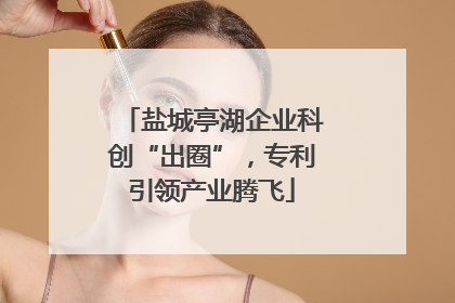 盐城亭湖企业科创“出圈”，专利引领产业腾飞