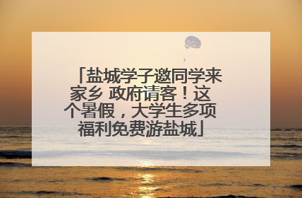 盐城学子邀同学来家乡 政府请客！这个暑假，大学生多项福利免费游盐城