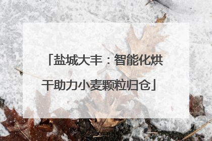 盐城大丰：智能化烘干助力小麦颗粒归仓