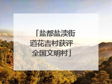 盐都盐渎街道花吉村获评全国文明村