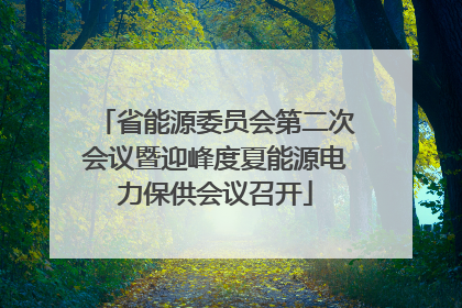 省能源委员会第二次会议暨迎峰度夏能源电力保供会议召开