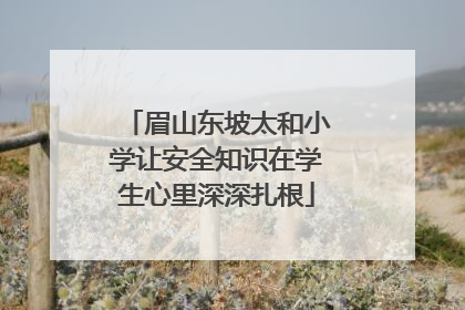 眉山东坡太和小学让安全知识在学生心里深深扎根