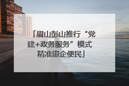 眉山彭山推行“党建+政务服务”模式 精准惠企便民