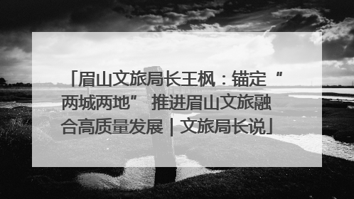眉山文旅局长王枫：锚定“两城两地” 推进眉山文旅融合高质量发展｜文旅局长说