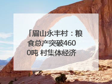 眉山永丰村：粮食总产突破4600吨 村集体经济收入三年倍增｜牵挂的村