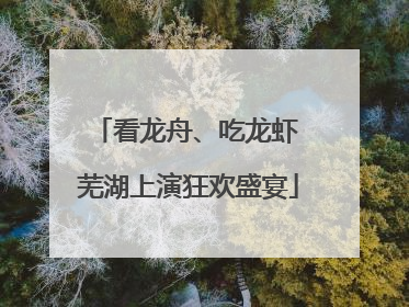 看龙舟、吃龙虾 芜湖上演狂欢盛宴