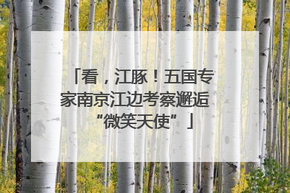 看，江豚！五国专家南京江边考察邂逅“微笑天使”