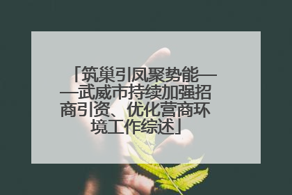 筑巢引凤聚势能——武威市持续加强招商引资、优化营商环境工作综述