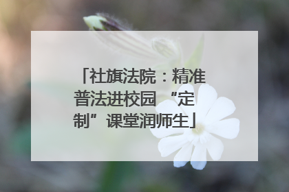 社旗法院：精准普法进校园 “定制”课堂润师生