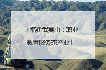 福建武夷山：职业教育服务茶产业