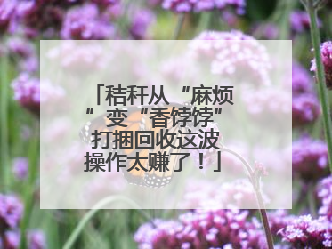 秸秆从“麻烦”变“香饽饽” 打捆回收这波操作太赚了！