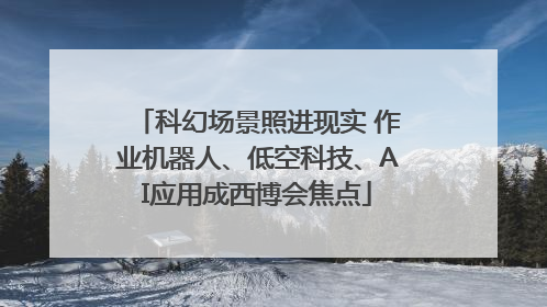 科幻场景照进现实 作业机器人、低空科技、AI应用成西博会焦点