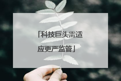 科技巨头需适应更严监管
