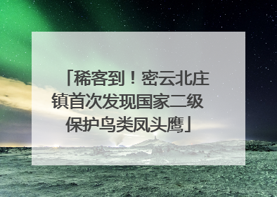 稀客到！密云北庄镇首次发现国家二级保护鸟类凤头鹰