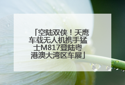 空陆双侠！天鹰车载无人机携手猛士M817登陆粤港澳大湾区车展