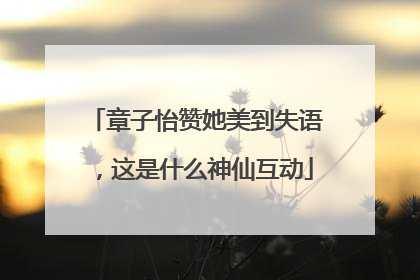 章子怡赞她美到失语，这是什么神仙互动