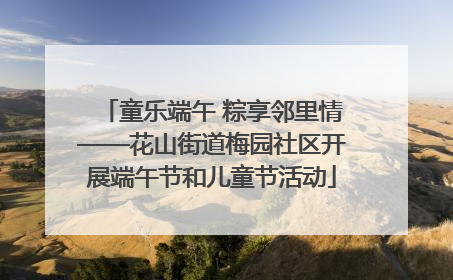 童乐端午 粽享邻里情——花山街道梅园社区开展端午节和儿童节活动