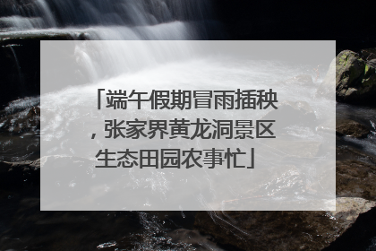 端午假期冒雨插秧，张家界黄龙洞景区生态田园农事忙