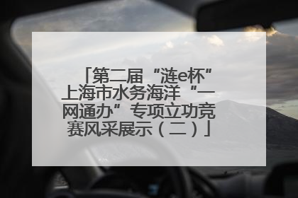 第二届“涟e杯”上海市水务海洋“一网通办”专项立功竞赛风采展示（二）