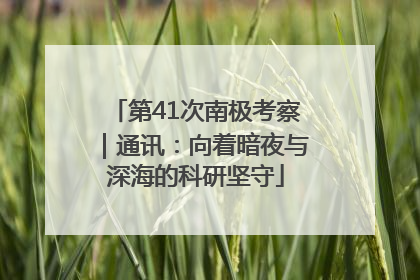 第41次南极考察｜通讯：向着暗夜与深海的科研坚守